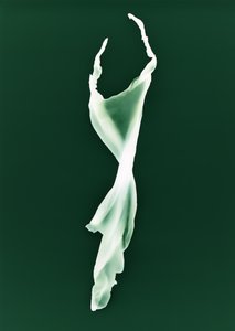 Utan titel, 2004 av Richard Green