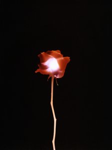 Utan titel, 2007 av Richard Green