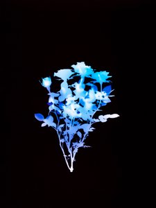 Utan titel, 2008 av Richard Green