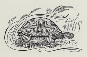 Hare And The Tortoise (gravyr) av Richard Heighway