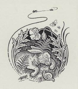 Haren och sköldpaddan (gravyr) av Richard Heighway