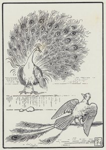 Jay And The Peacock (gravyr)