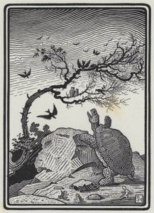 Sköldpaddan och fåglarna (gravyr)
