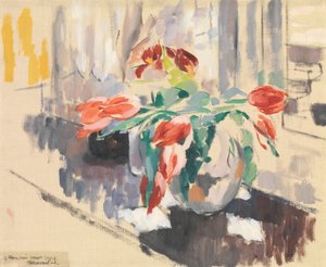 Tulpen