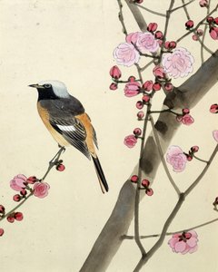 Fågel - japansk teckning av Riou Chim, sent 1800-tal av Riu Chim