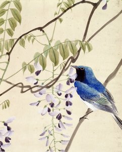 Fågel - japansk teckning av Riou Chim, sent 1800-tal av Riu Chim