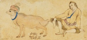 Studie av en ung man och en bagge, 1630-31 eller senare