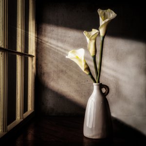 Fönsterlampa med callaliljor