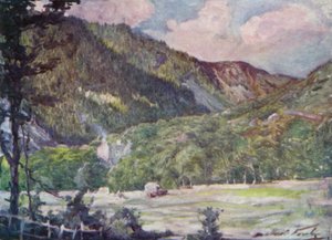 Ett höfält nära Portmadoc (färg litho) av Robert (after) Fowler
