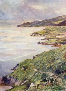 A Lonely Shore, Barmouth Estuary (färg litho) av Robert (after) Fowler