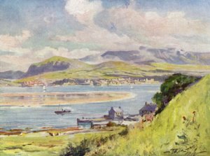 Carnarvon, från Anglesey (färg litho) av Robert (after) Fowler