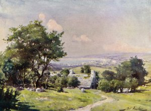 Avlägsen utsikt över Carnarvon Bay (färg litho) av Robert (after) Fowler