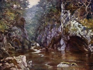 Fairy Glen, Bettws-y-Coed (litho i färg) av Robert (after) Fowler
