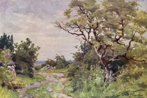 Field Path, nära Llanrug (färg litho) av Robert (after) Fowler