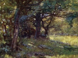 In the Woods, Berwyn (farve litho) sved