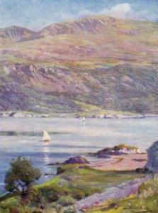 Sunny Afternoon, Cardigan Bay (färg litho)