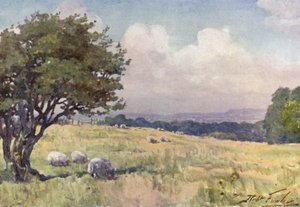 Sunny Field, nära Llanberis (färg litho) av Robert (after) Fowler