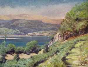 Åskigt väder, nära Dolgelly (färg litho)