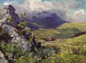 Utsikt över Moelwyn (färg litho) av Robert (after) Fowler
