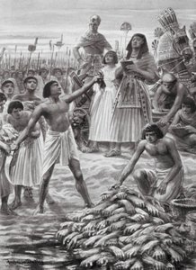 Räkna händerna som skurits av från de döda (litografi) av Robert Ambrose Dudley