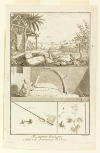 "Cultivation et Arsonnage du Coton" från Diderot