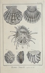 Illustration från 