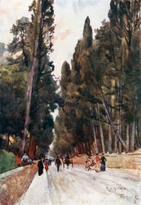 Utsikt över cypressallén i Poggio Imperiale, på vägen till Arcetri (färglitografi) av Robert Charles Goff