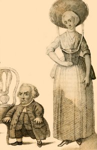 Wybrand Lolkes, Den holländska dvärgen, 1821.