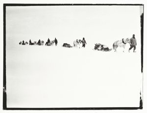 Ponnyer på marsch, Great Ice Barrier, 2 december