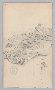 Tigerskinnsmatta av Robert Frederick Blum