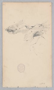Tigerskinnsmatta av Robert Frederick Blum