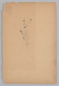 Kvinna av Robert Frederick Blum