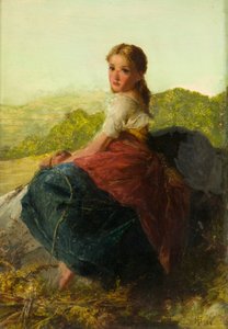 Fern Samlare
