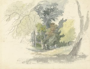En Woodland Glade av Robert Hills