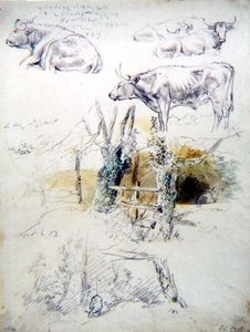 Boskapsstudier av Robert Hills
