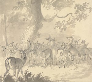 Studie av en hjort: Hjort i förgrunden med en grupp dovdjur och lirare under ett träd av Robert Hills