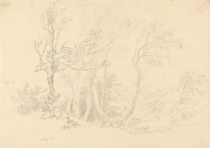 swedish av Robert Hills