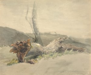 Det fallna trädet av Robert Hills