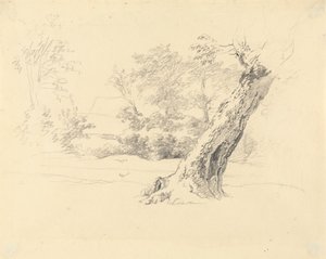 Trädstudie av Robert Hills
