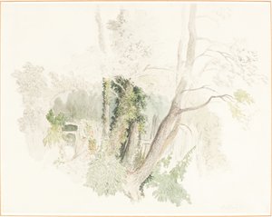 Träd på Beddington av Robert Hills