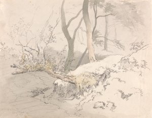 Woodland Shadow av Robert Hills