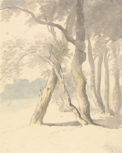 Woodland Study av Robert Hills