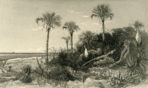 "På Floridas kust", 1872.