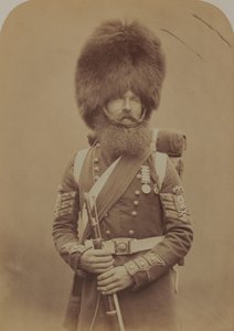 Sergeant Macgregor, Scotch Fusiliers Guards