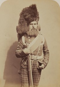 Färgsergeant Taylor, 72:a (Duke of Albany