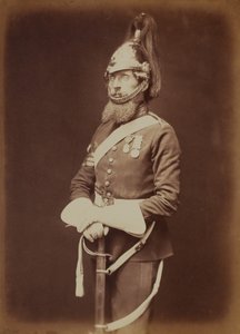 Sergeant-major Bailey, 1st Royal Dragoon Guards