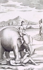 En avrättning av en elefant, pub. 1681. av Robert Knox