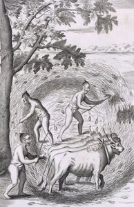 Sättet att trampa ut sitt ris, pub. 1681. av Robert Knox