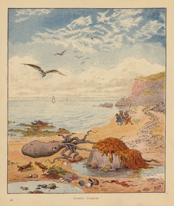 The Kitten Pilgrims: Octopus Untruth (färg litho) av Robert Michael Ballantyne
