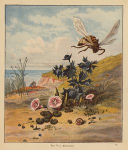 The Kitten Pilgrims: The Wasp Discontent (färg litho) av Robert Michael Ballantyne